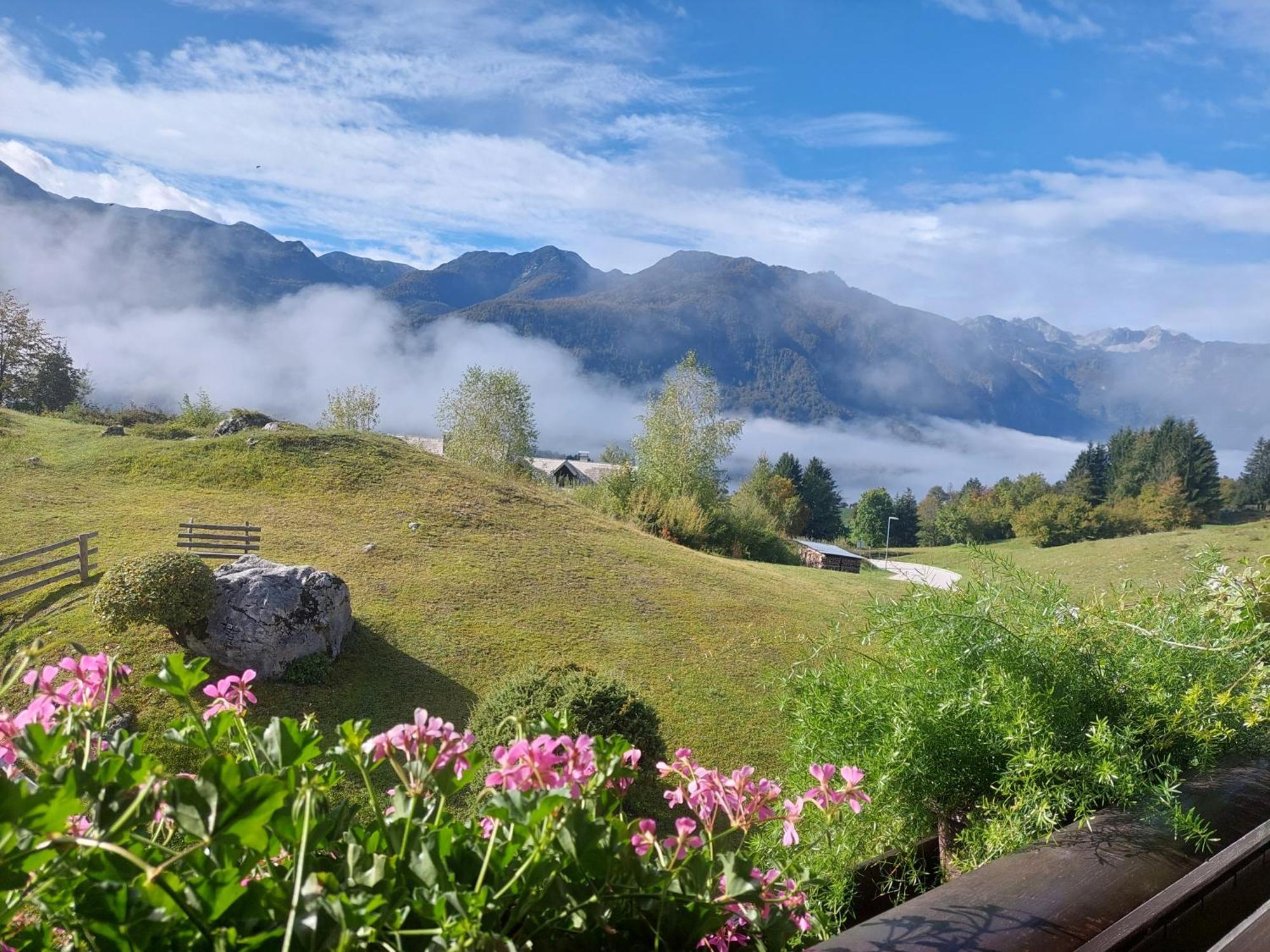 Apartmaji Vesna Bohinj Exterior photo